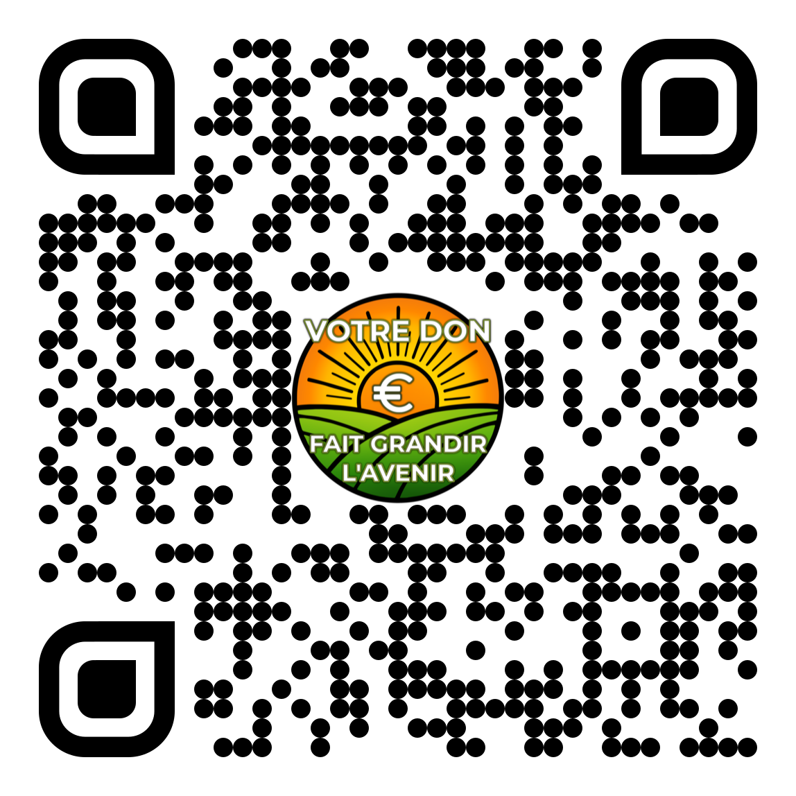 QR Code Wero